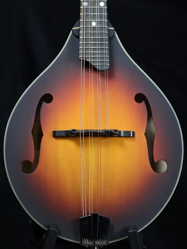 eastman 305e sb mandolin