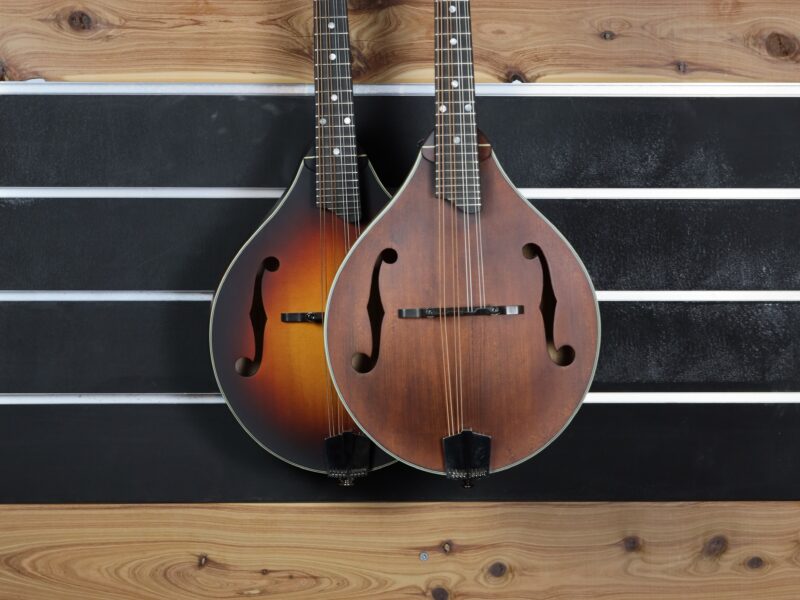 eastman md305 mandolin range