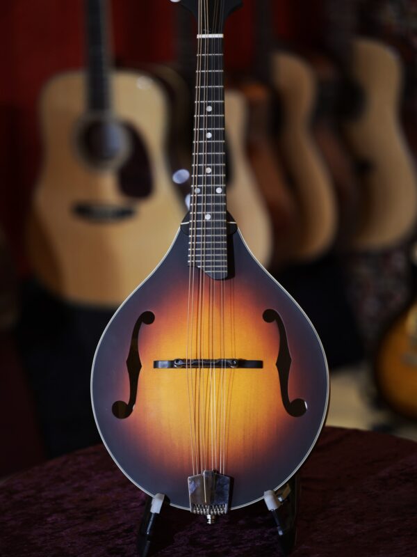 eastman md305 mandolin range