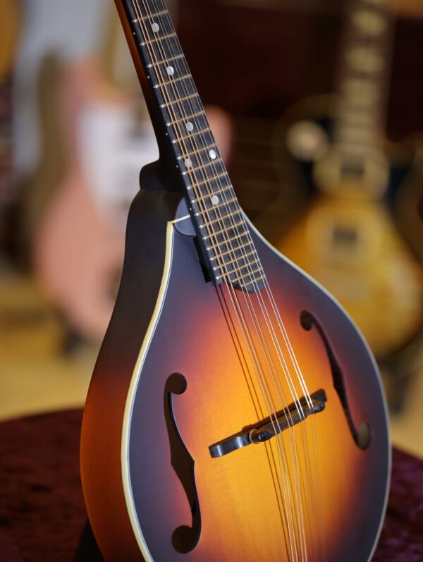 eastman md305e sb mandolin (1)