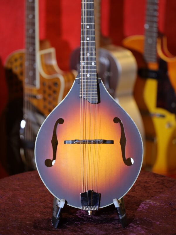 eastman md305e sb mandolin