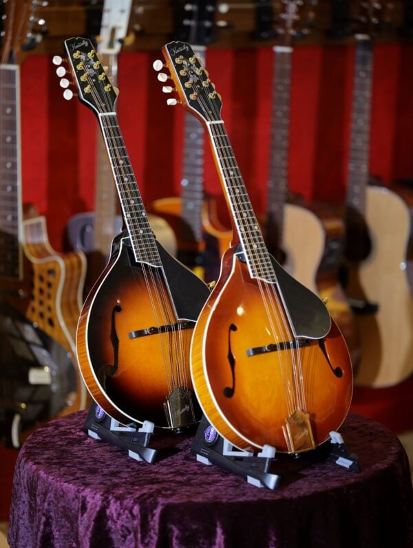 kentucky km 500 mandolin range