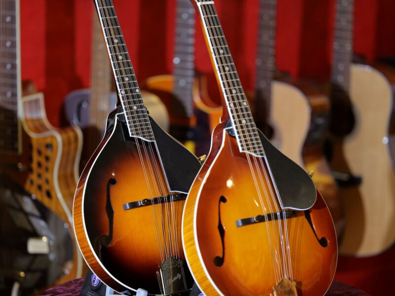 kentucky km 500 mandolin range