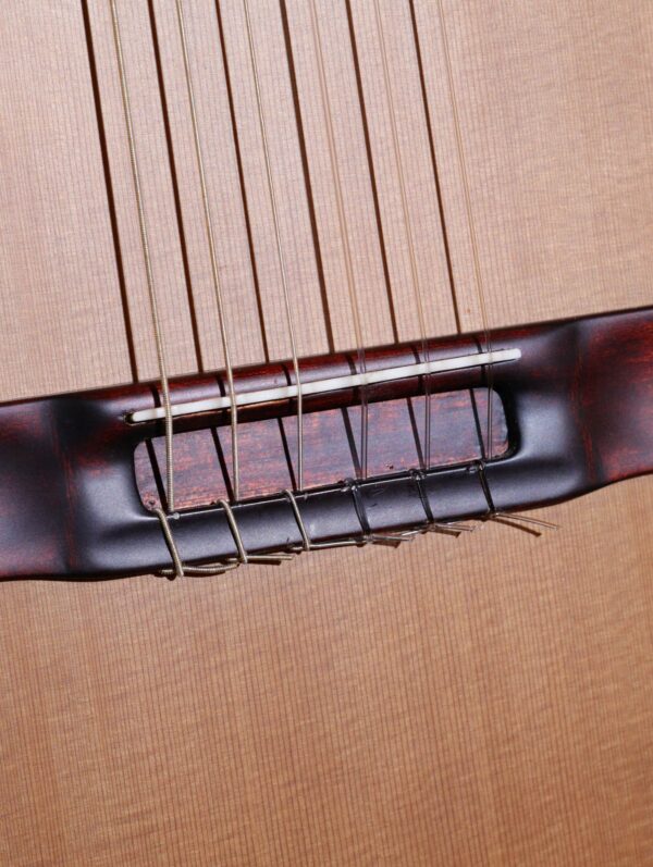 litchfield classical guitar (3)