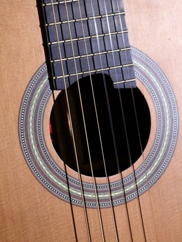 litchfield classical guitar (4)