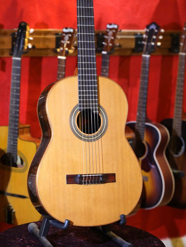 litchfield classical guitar