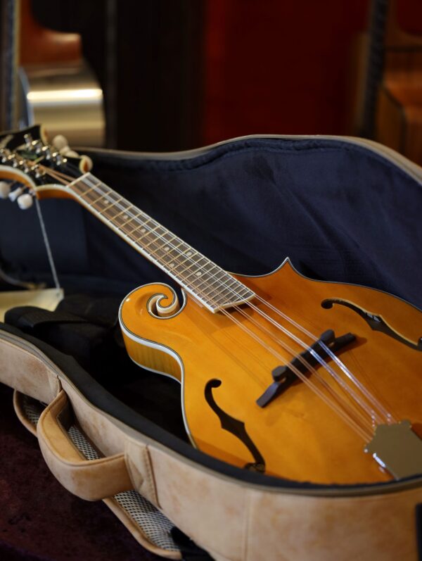 mandolin gigbag by kentucky (1)