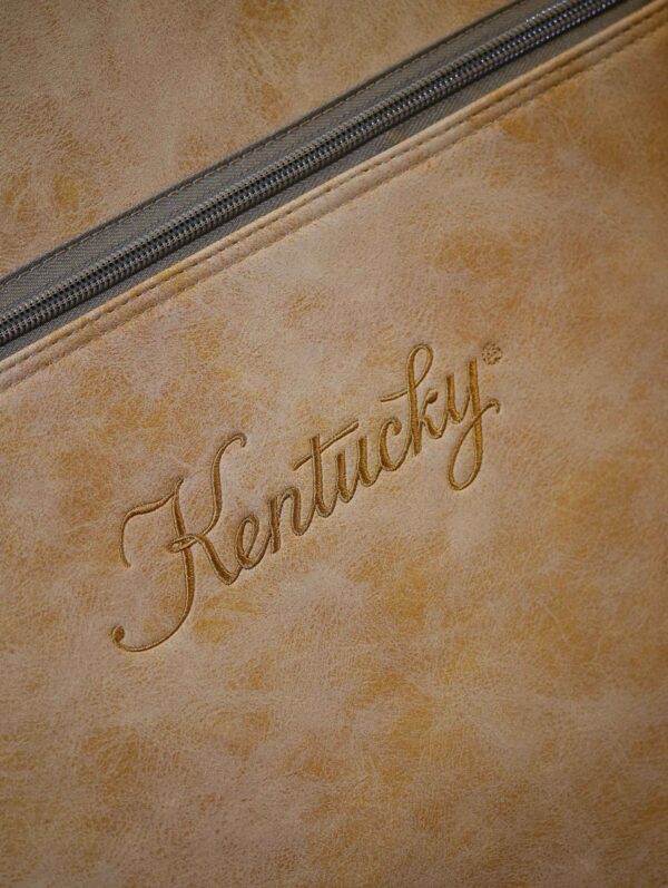 mandolin gigbag by kentucky (3)