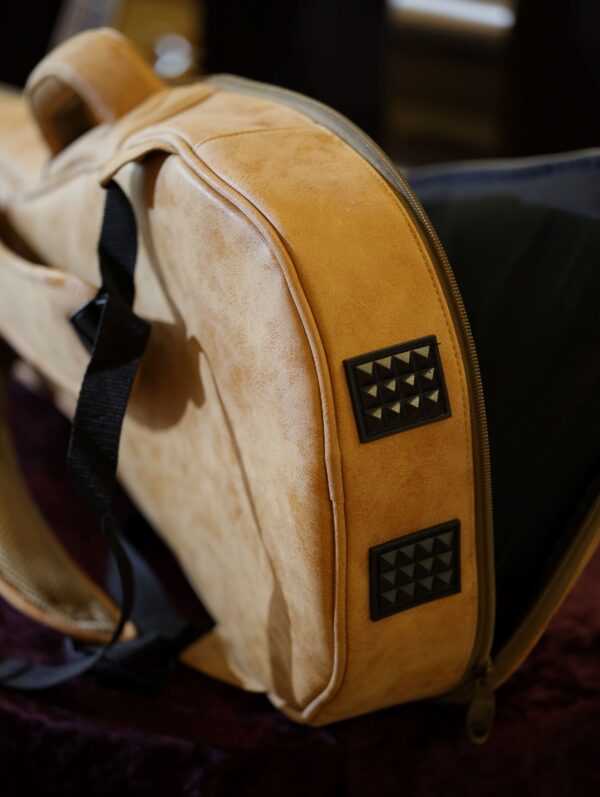 mandolin gigbag by kentucky (4)