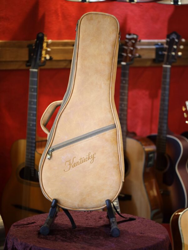 mandolin gigbag by kentucky