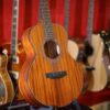 bristol bf 15s travel guitar
