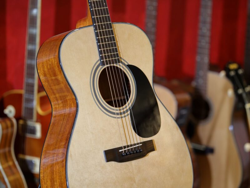 bristol bm 16 spruce top guitar