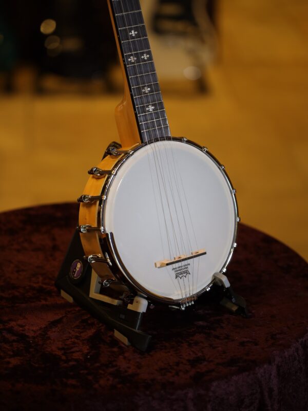 gold tone cripple creek mini banjo