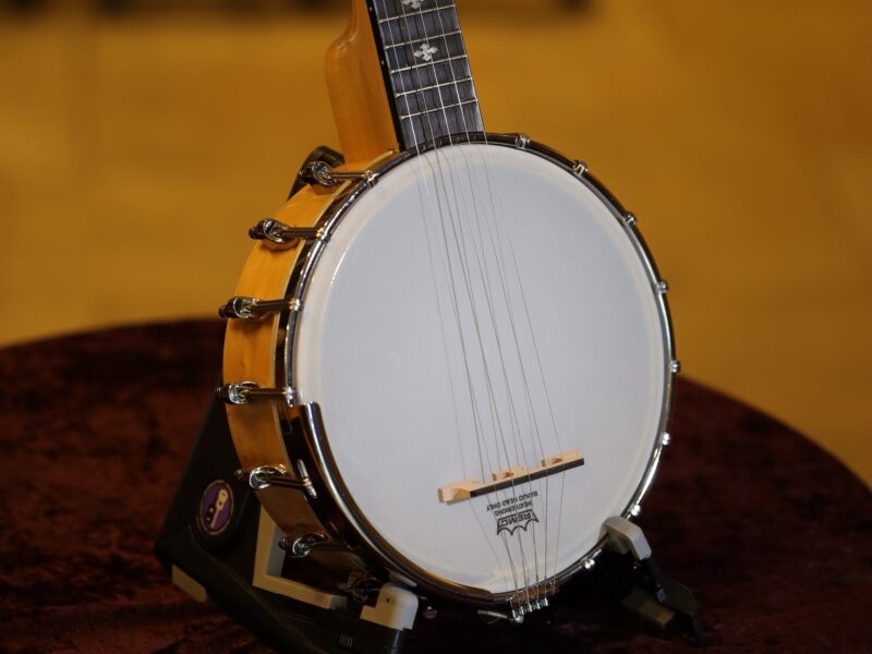 gold tone cripple creek mini banjo