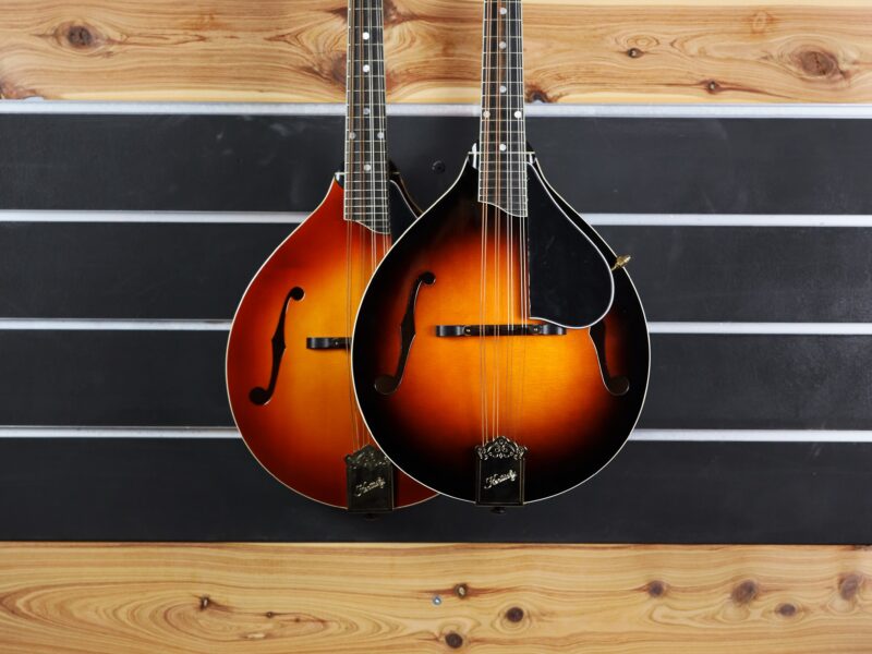 kentucky km 500 mandolin range
