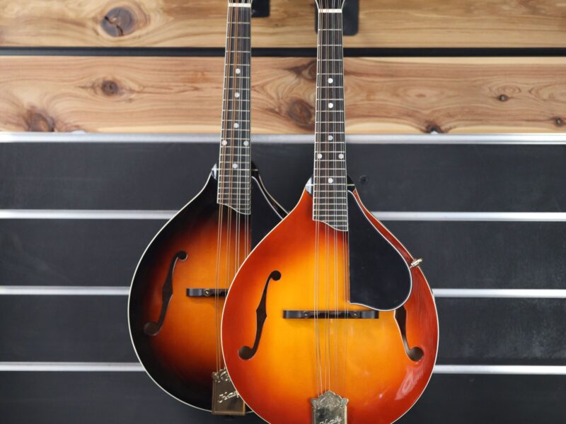 kentucky km 500 mandolin range