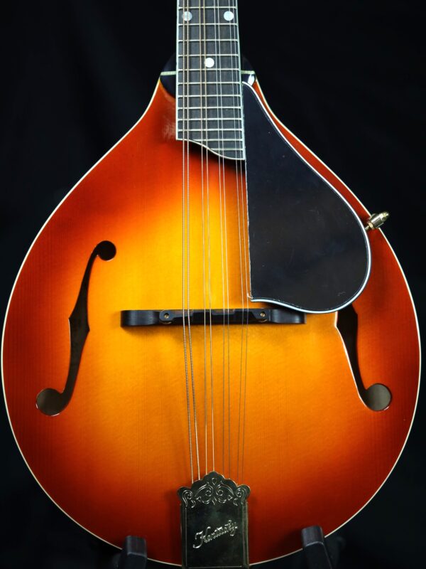 kentucky km 505 mandolin front