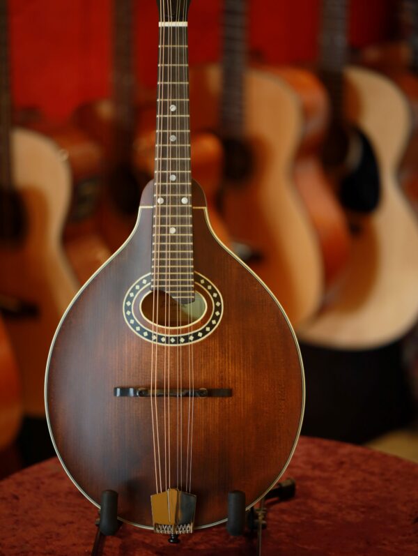 eastman md304 mandolin