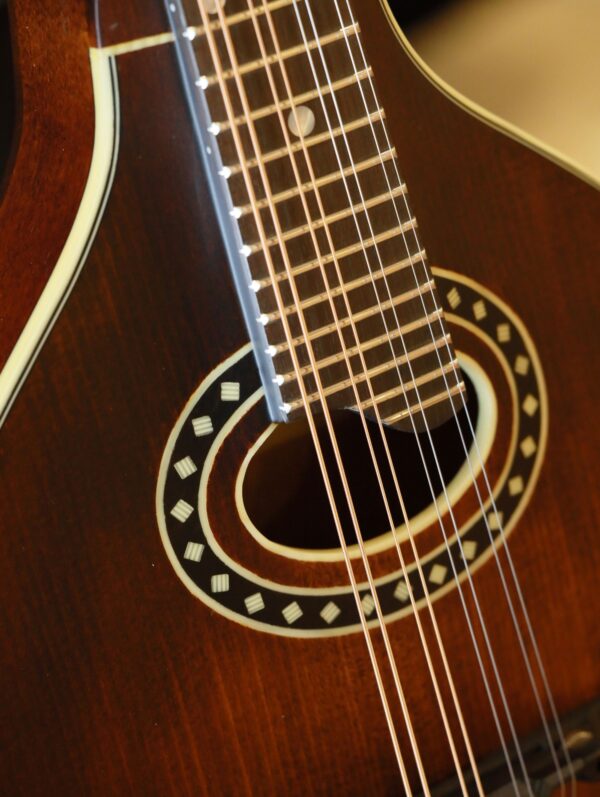 eastman md304 mandolin inlay