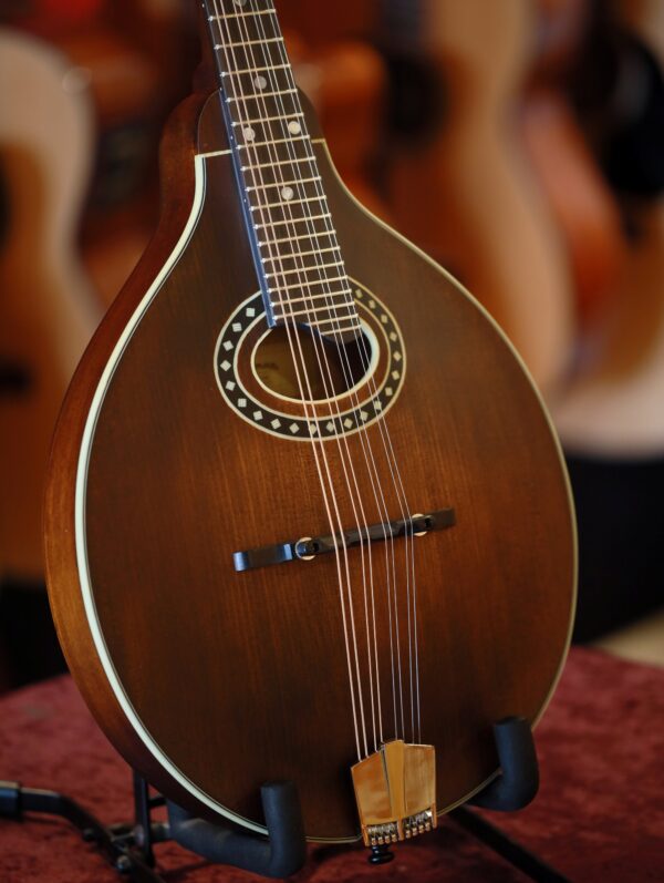 eastman md304 mandolin side