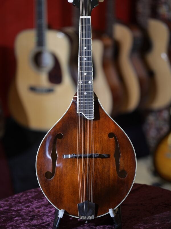 eastman md505 mandolin