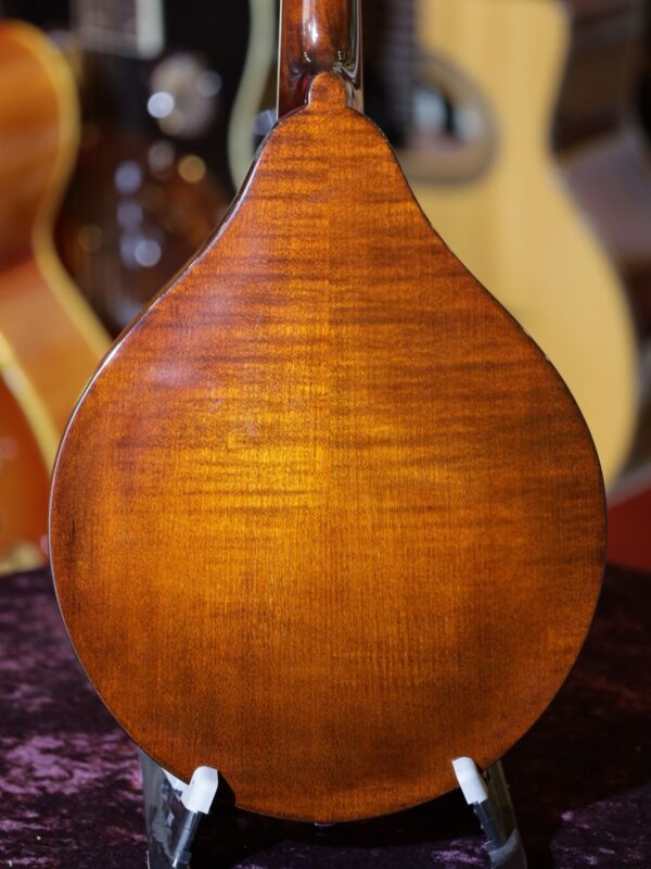 eastman md505 mandolin back