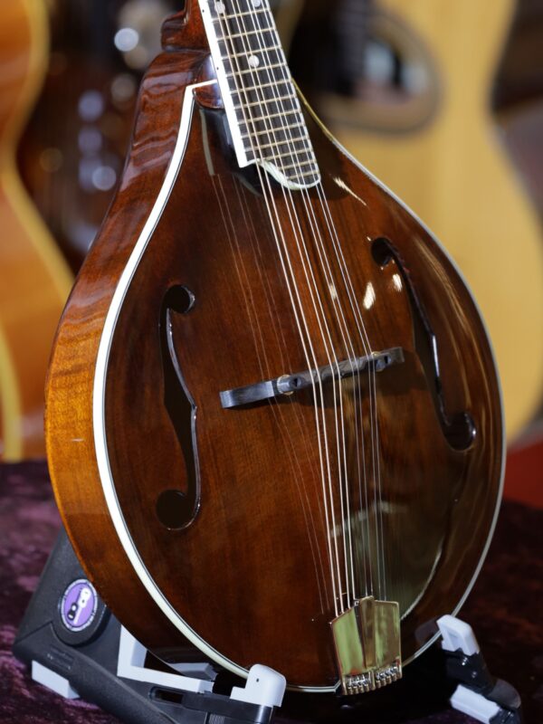 eastman md505 mandolin side