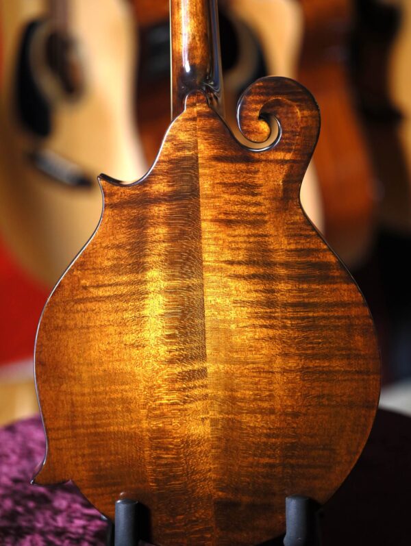 eastman md515 mandolin back