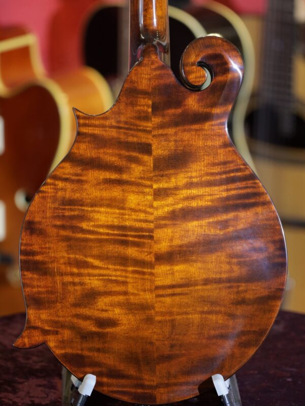 eastman md515 mandolin back