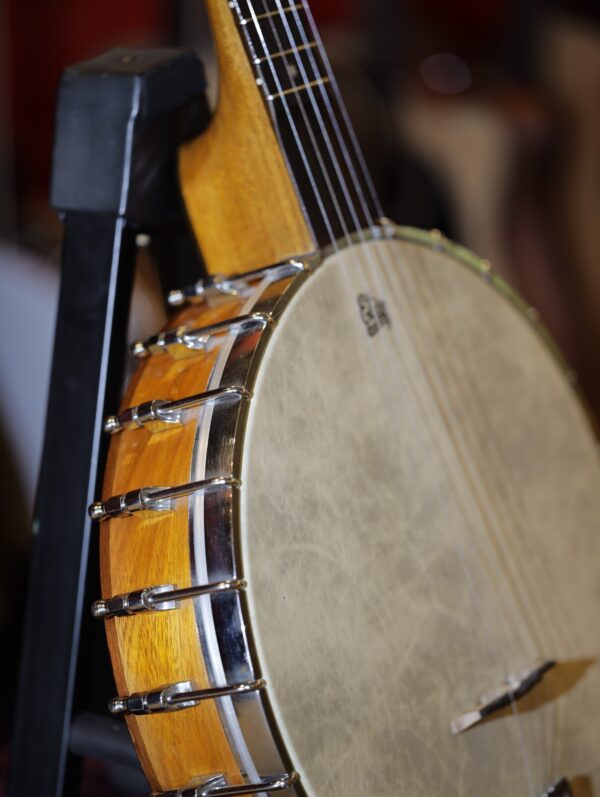 banjo openback by pat doole (2)