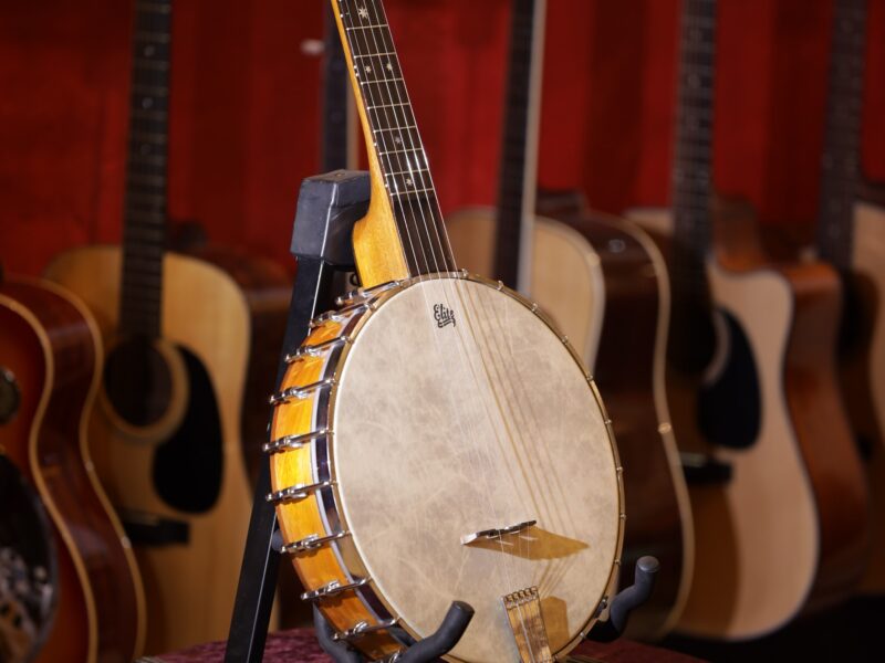 banjo openback by pat doole