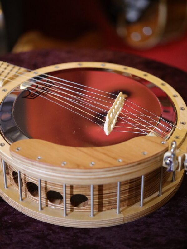 fan fret 5 string banjo (2)