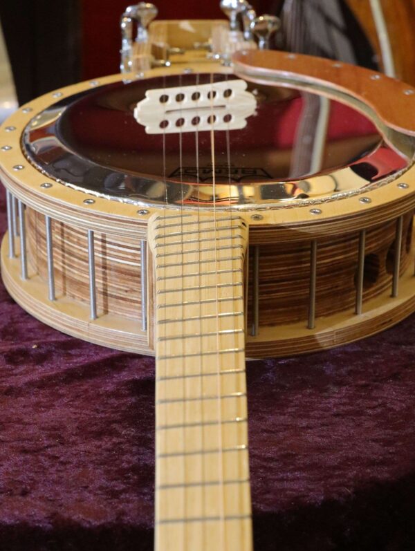 fan fret 5 string banjo (5)