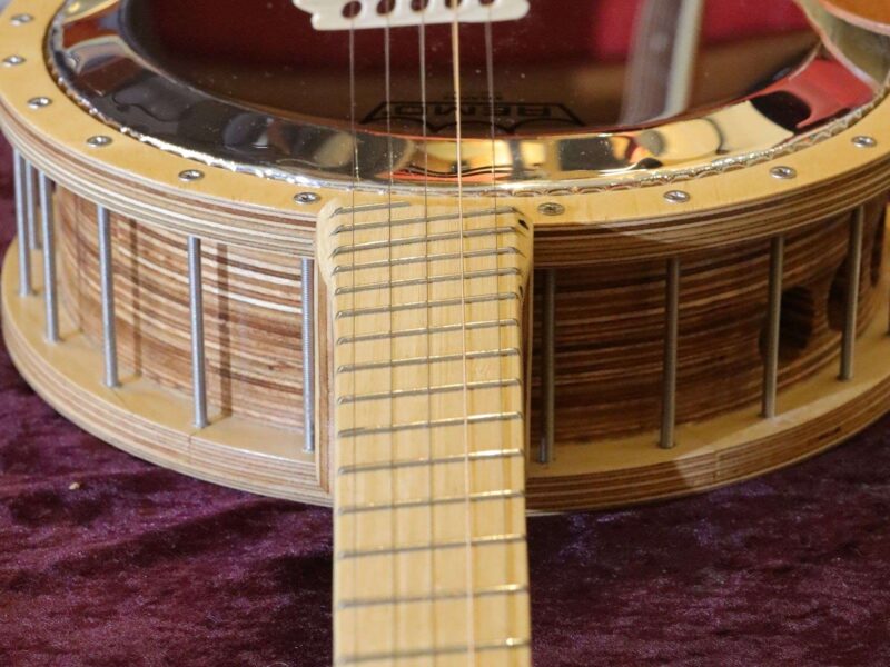 fan fret 5 string banjo (5)