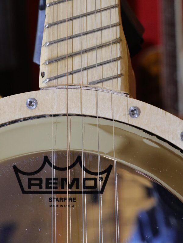 fan fret 5 string banjo (6)