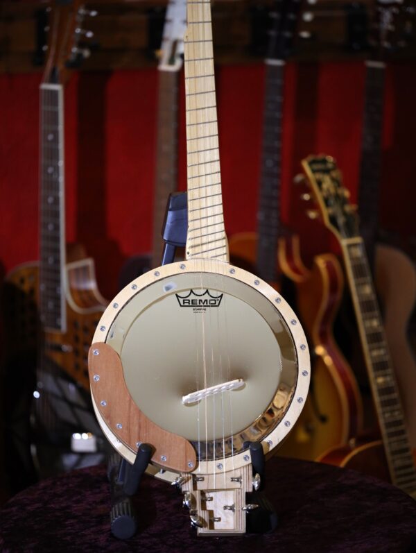 fan fret 5 string banjo