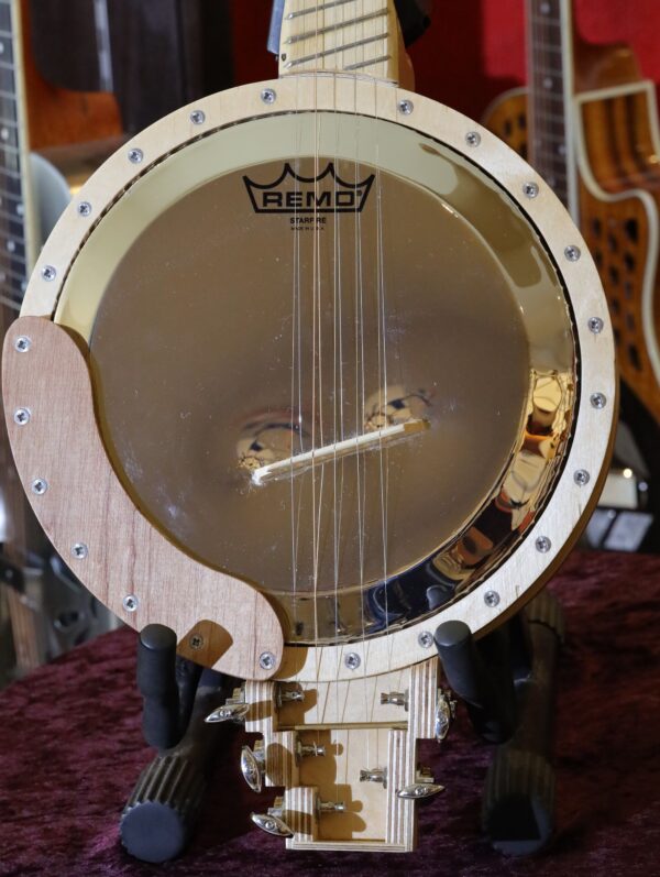 fan fret 5 string banjo (7)