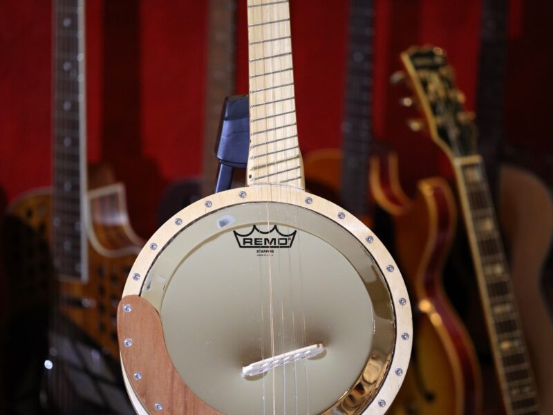 fan fret 5 string banjo