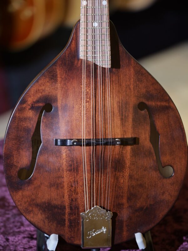 kentucky km 206 mandolin (1)