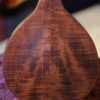 kentucky km 206 mandolin (2)