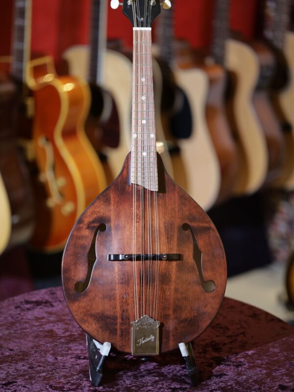 kentucky km 206 mandolin