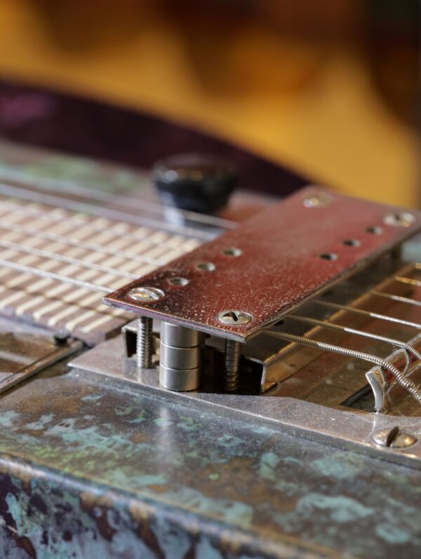 national lapsteel customised (7)