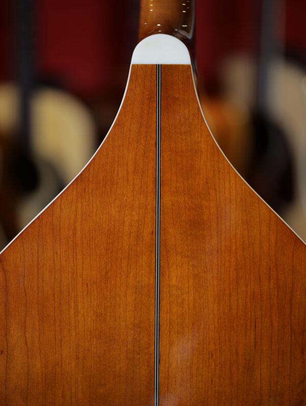 trinity college tm 325 octave mandolin (2)