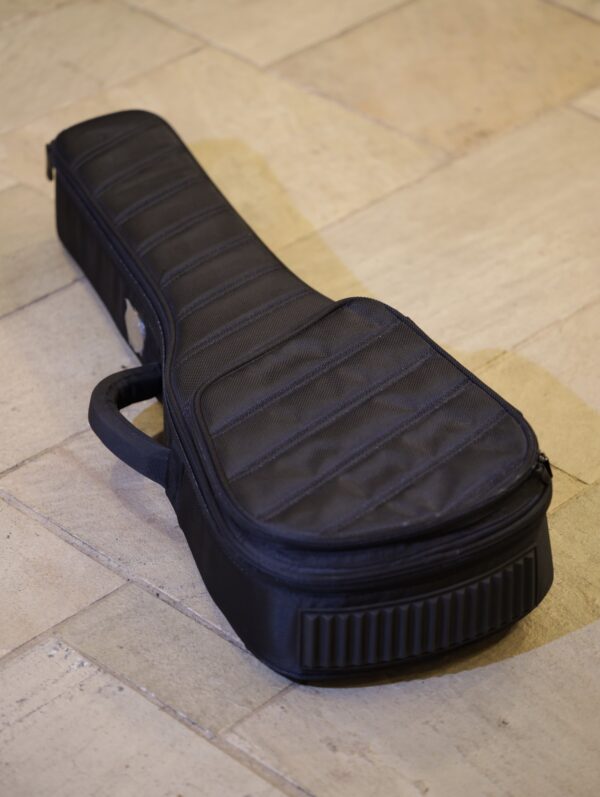 baritone ukulele cases (1)