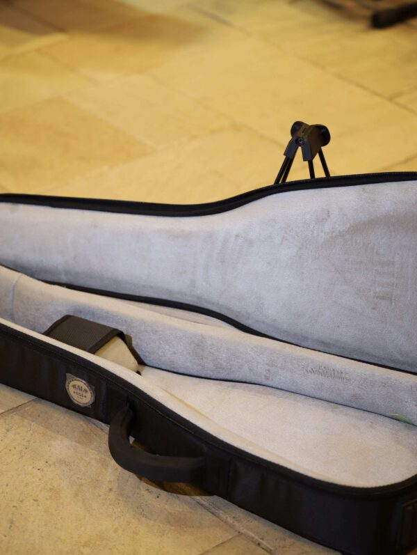 baritone ukulele cases (2)