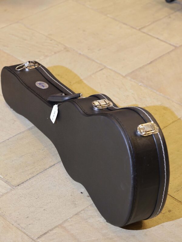 baritone ukulele cases (7)