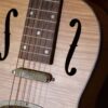 bourbon street p1c w resonator guitar (6)