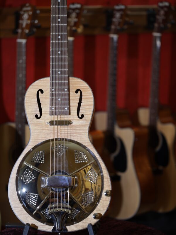 bourbon street p1c w resonator guitar