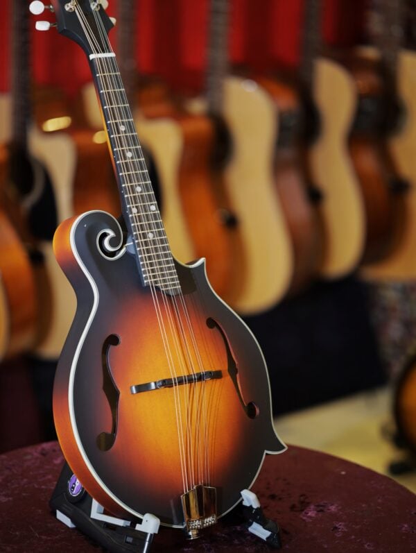 eastman md315e sb mandolin (2)