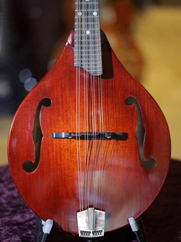 eastman md505cc tv mandolin (2)